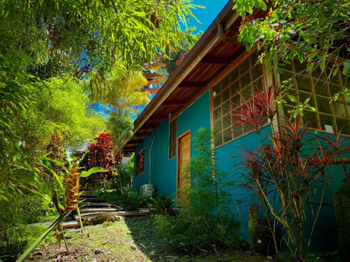 Las Palomas Villas Cocles Exterior foto